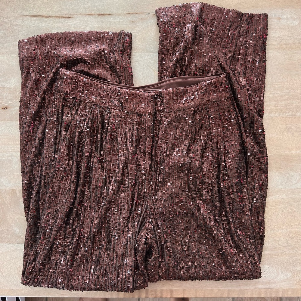 Sequin Embellished Brown Pants